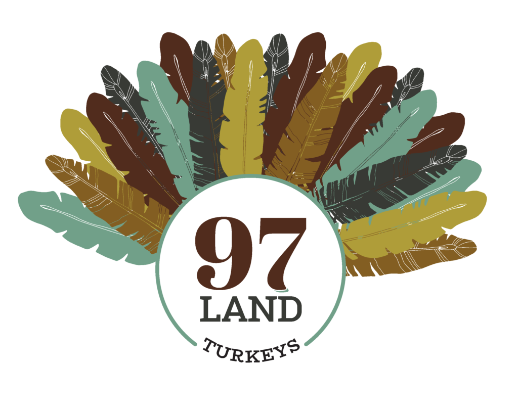 97 Land Circle_turkey_R2